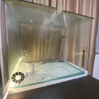 آکواریوم شیشه خم