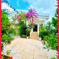 عروسک شمال۲۵۰متر/ مناسب سکونت دائم/ سند