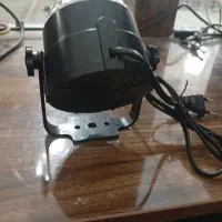 رقص نور متحرک|ریسه و چراغ تزئینی|کرمان, |دیوار