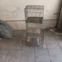 قفس