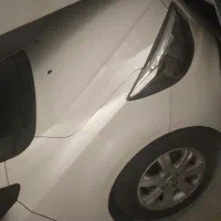 شاهینGسانروف دار