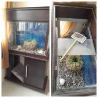 آکواریوم بزرگ کمددار شیک حراج