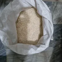 برنج استانه