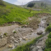 فروش-زمین-کشاورزی