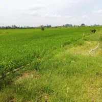 ۲۵۰۰ متر زمین کشاورزی