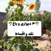 انشعابات کامل/آب/برق/چهار دیواری /اقساطی