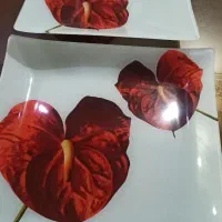 انواع ظرفهای پذیرایی،کاملا سالم