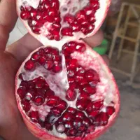 انار انباری درجه یک دان سیاه موجود است|عمده‌فروشی|کوهنانی, |دیوار