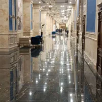 واحد-ویودار-و-کلیدنخورده-رونیکا