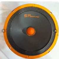 ۲جفت میدرنج ۸اینچ