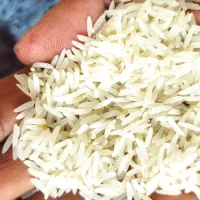 برنج شاه دانه فجر سوزنی۹۰ روزه