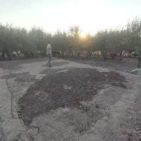 سرایدار و نیرو برای ویلا