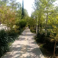تهاتر مغازه