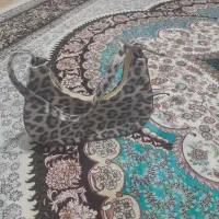 کیف|کیف، کفش، کمربند|گرگان, |دیوار