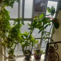 وسایل منزل|حراج|جوانرود, |دیوار