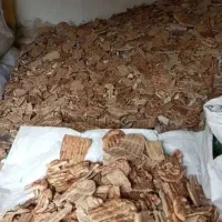 نان خشک