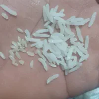 برنج کامفیروزی|خوردنی و آشامیدنی|بانش, |دیوار