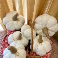 کوسن پامکین|رختخواب، بالش، پتو|تبریز, |دیوار