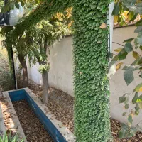 مجسمه و آبنما برای باغ|مصالح و تجهیزات ساختمان|تهران, جنتآباد شمالی|دیوار