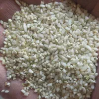 برنج عنبر بو درجه ۱|خوردنی و آشامیدنی|کوهدشت, |دیوار