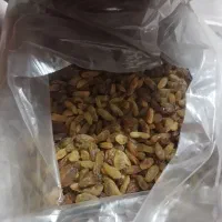 فروش و پخش کلیه محصولات خشکبار و تحویل در محل|عمده‌فروشی|خرمدره, |دیوار