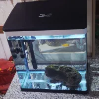 آکواریوم دلسا K390