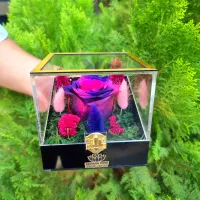 گل رز جاویدان تمام پلکسی در انواع رنگ ها کد ۶۱|گل و گیاه طبیعی|تهران, میدان ولیعصر|دیوار