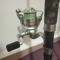 انسر ماهیگیری سالم