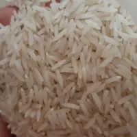 برنج ایرانی خوشپخت طارم محلی گرگان