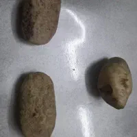 بودایی بسیار قدیمی|جواهرات|ری, شهرک نظامی|دیوار