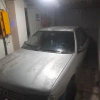 کربلا اربعین باپژو ۴۰۵