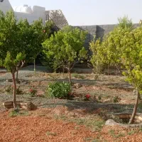 باغ