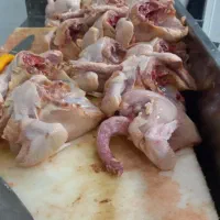 شاگرد مرغ فروشی