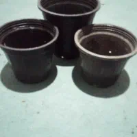 سطل گلدان
