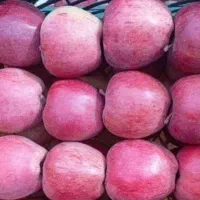 سیب قرمز آبدار