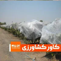 آگهی جدید کاور کشاورزی ضد سرما|خدمات باغبانی و درختکاری|بروجن, |دیوار