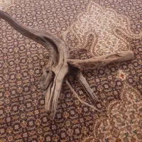 فروش لوازم کار کرده و سالم آکواریم