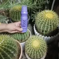 اسپری خوشبو کننده بدن