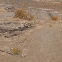 فاز شش و هشت خریدارم