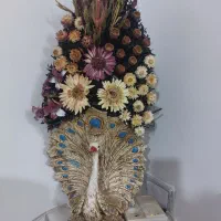 گل زیبا