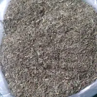 مرزه کوهی تازه وتمیز شده کوهستان