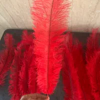 پر قرمز ۴۰و۵۰سانتی|لوازم خیاطی و بافتنی|شیروان (خراسان), |دیوار