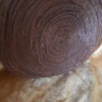 کوسن مبل گل رز|مبلمان خانگی و میز عسلی|اصفهان, خانه اصفهان|دیوار
