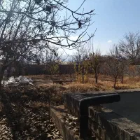 باغ-پزشکان-ابسرد