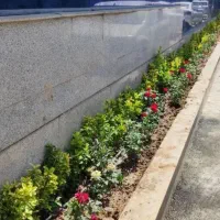 خدمات باغبانی باغچه کاری تعویض خاک گلدون گل وگیا