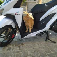 فروش و معاوضه موتورسیکلت درحد طرح کلیک۴۰۳ با ماشین|موتورسیکلت|کرج, حسن آباد|دیوار