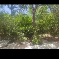 خونه فروشی بزنجان|فروش خانه و ویلا|بافت, |دیوار