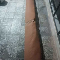 موکت در حد نو