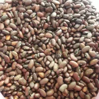 لوبیا|خوردنی و آشامیدنی|بروجرد, |دیوار