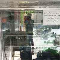 یخچال مرغ فروشی|یخچال و فریزر|سامان, |دیوار
